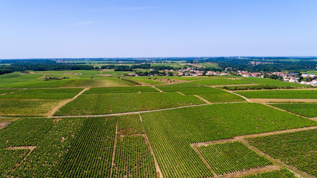 La valorisation de votre terrain grâce à Urbatys