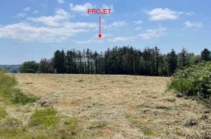 projet mengeuz