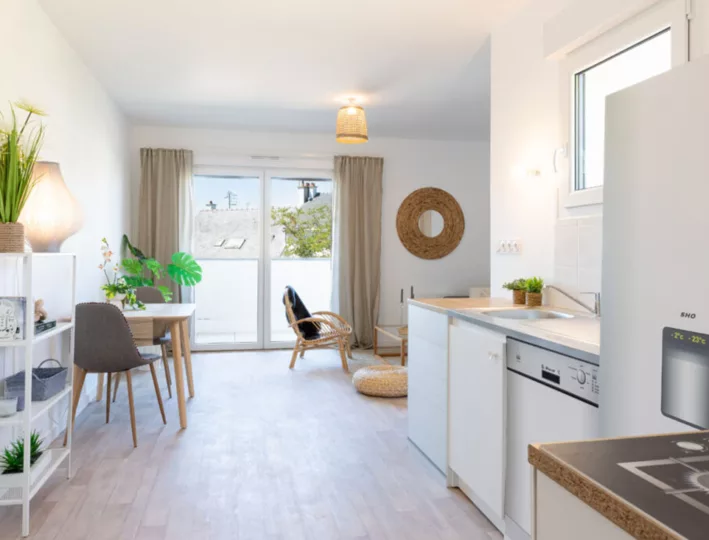 sohomeoptimiz-2-955x690-1