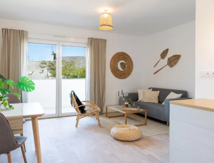 sohomeoptimiz-3-955x690-1