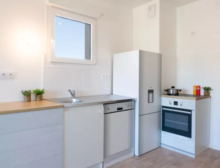 sohomeoptimiz-4-955x690-1